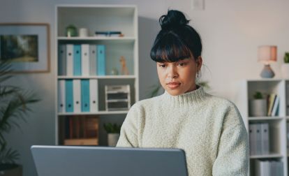 WordPress Website Building